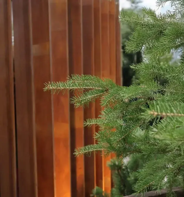 Privacy Screens