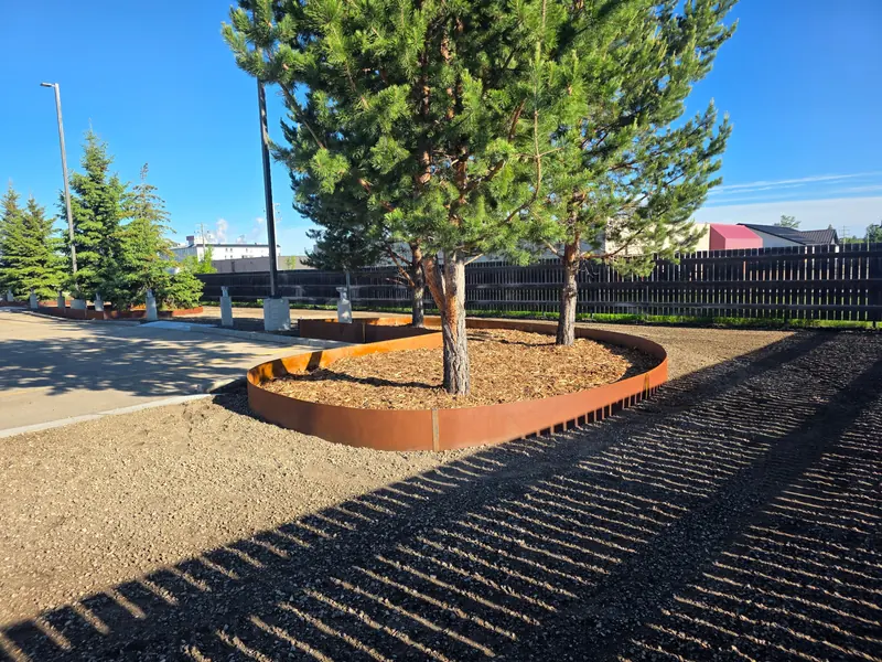 Curved Corten steel edging ring around a tree island in a commercial parking lot