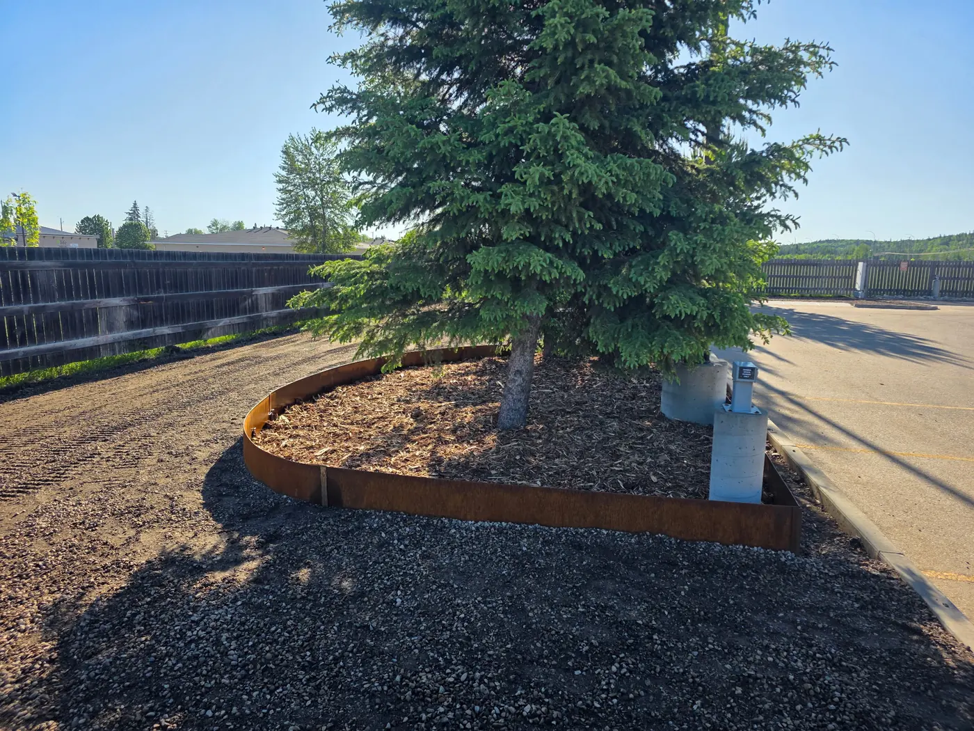 Curved Corten steel edging defining a tree island along a parking lot curb