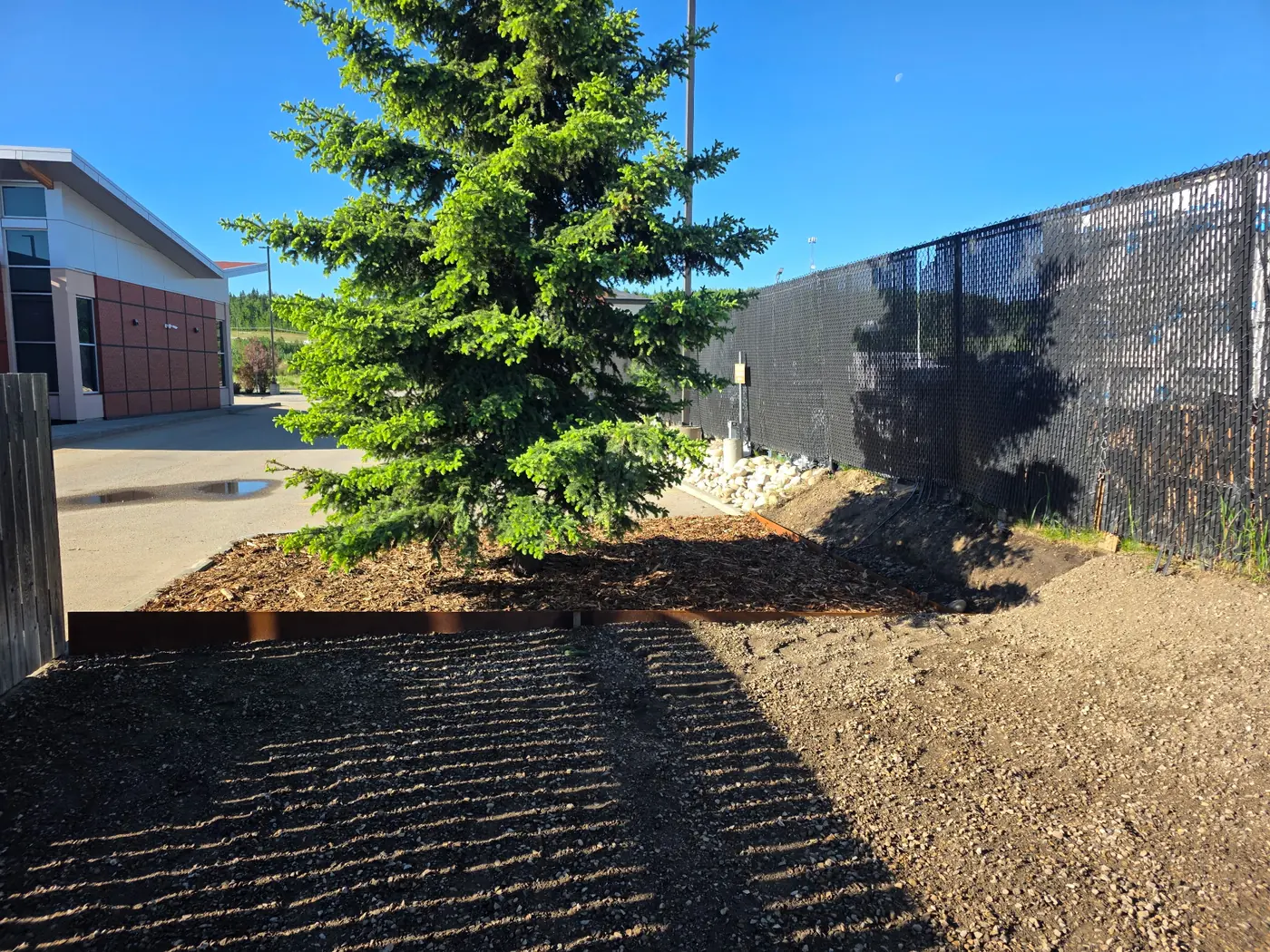 Corten steel edging along a mulched tree bed at a commercial building corner