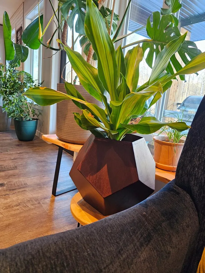 Faceted Corten steel planter holding a large houseplant indoors