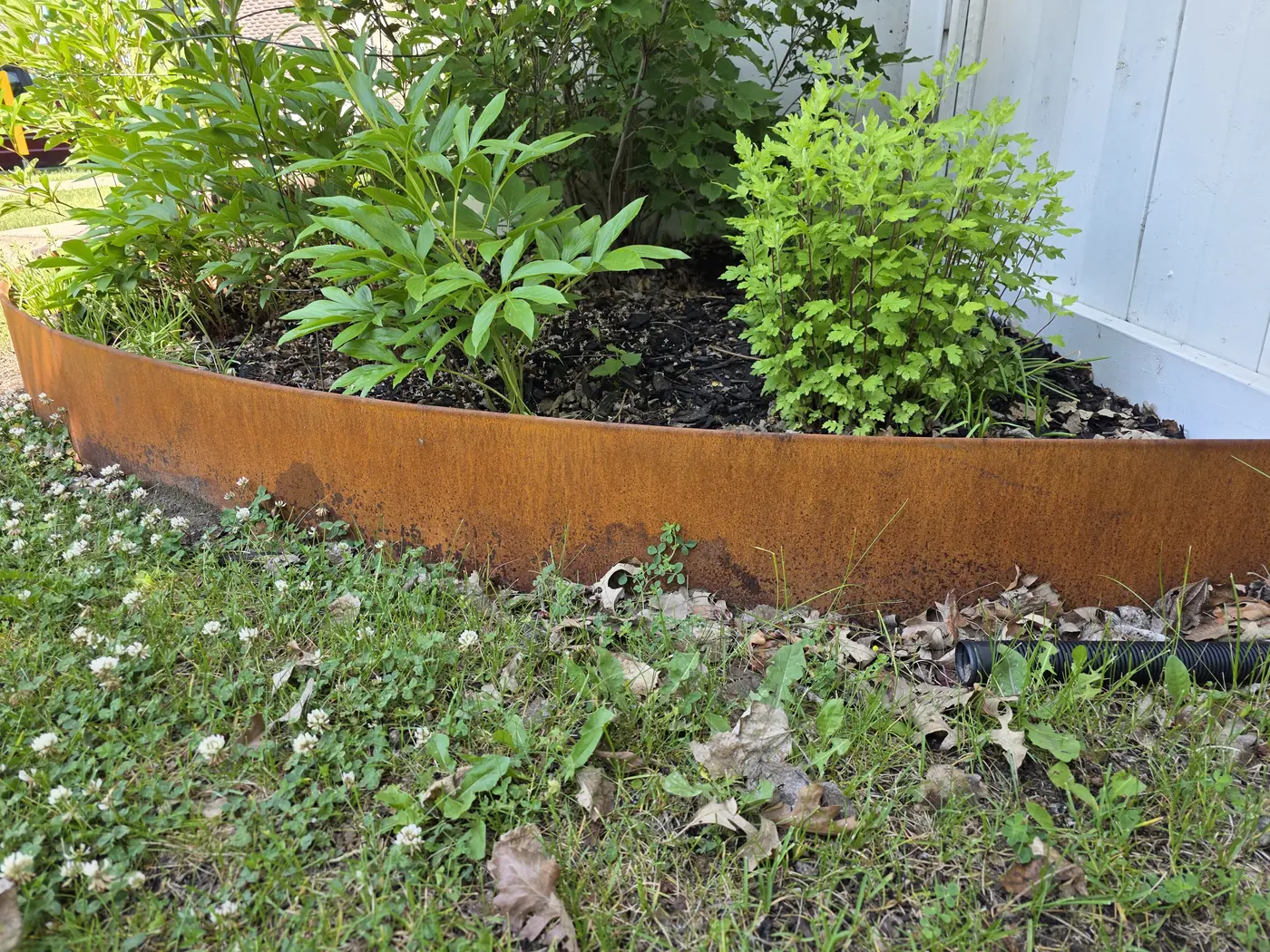 Side view of weathered Corten steel garden edging along a planted bed