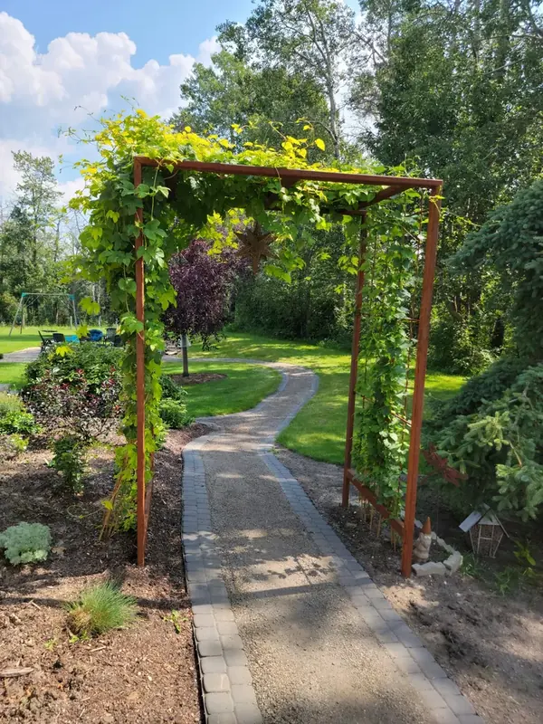 Corten steel garden arbor covered in hops vines over a curved paver and gravel path